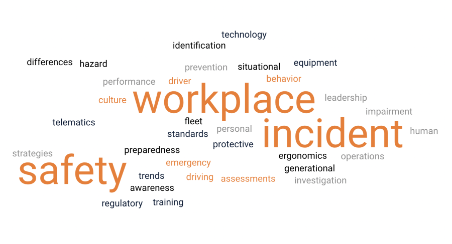 iP Word Cloud - Utility Safety